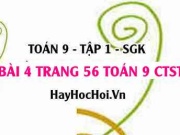 Bài 4 trang 56 Toán 9 tập 1 Chân trời sáng tạo
